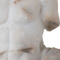 Product Image 2 for Delos Torso on Metal Stand from Currey & Company