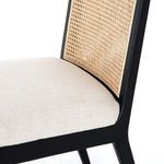 Product Image 23 for Antonia Cane Armless Dining Chair from Four Hands