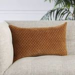 Lumbar pillow styled on light gray couch in bright room with green plant back