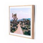 Product Image 1 for Joshua Tree Desert Landscape By Ts from Four Hands