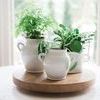 Product Image 1 for White Italian Olive Jar Planter from etúHOME