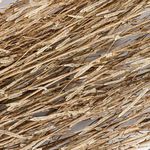 Product Image 3 for Natural Long Dried Grass Bunch from BIDKHome