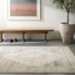 Rug placed in a minimalist room with wooden bench, potted plant, and artwork on wall