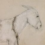 Close detail of the burro's head and neck showing textured lines and subtle color variations