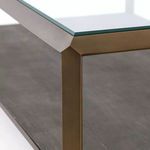 Product Image 1 for Shagreen Shadow Box Coffee Table from Four Hands