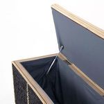 Product Image 1 for Desi Black Agel Trunk from Four Hands