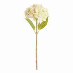 Product Image 1 for Hydrangea Stems , Set Of 6 from Napa Home And Garden
