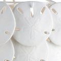 Detailed close-up focusing on texture and shape of sand dollar ceramic pieces with soft lighting