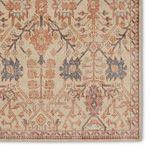 Close-up on intricate floral motifs and border design of rust and cream hand-knotted traditional rug
