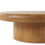 Product Image 17 for Zach Burnished Parawood Veneer Large Coffee Table from Four Hands