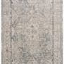 Neutral-toned vintage style rug with intricate medallion and border patterns in soft gray and beige