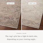 Close-up of rug corner on wooden floor with detailed traditional border and soft color variations