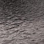 Product Image 5 for Undertow by Shade Degges - Black Maple Floater from Four Hands