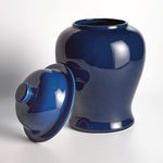 Product Image 2 for Koa Wide Lidded Ginger Jar from Napa Home And Garden