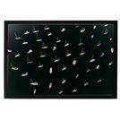 Product Image 1 for Lido Moorings Art By Ryan Garvin from Ryan Garvin