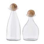 Product Image 3 for Thayer Taupe Glass Decanters, Set of 2 from Arteriors