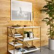 Lily Console Table styled with books, plants, and decor against wood-paneled wall