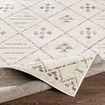 Product Image 1 for Pisa Ivory / Black Diamond Rug from Surya