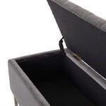 Product Image 1 for Rennie Trunk from Four Hands