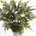 Product Image 2 for Plumosa Fern Drop-In 21" from Napa Home And Garden