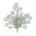 Product Image 4 for Baobab Wall Sconce from Currey & Company