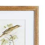 Product Image 3 for Perching Bird Study Petite, Set Of 4 from Napa Home And Garden