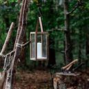 Lantern hanging from black curved hook among forest trees with surrounding natural greenery