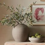 Product Image 4 for Olive Stems , Set Of 4 from Napa Home And Garden