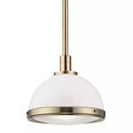 Product Image 1 for Dalton 1 Light Pendant from Hudson Valley