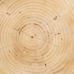 Product Image 11 for Aliza End Table Natural Pine from Four Hands