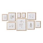 Product Image 1 for Botanical Study In Sepia, Set Of 9 from Napa Home And Garden