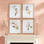 Product Image 4 for Playful Hummingbird Prints, Set Of 4 from Napa Home And Garden