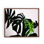 Product Image 1 for Monstera Light from Four Hands