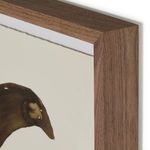 Product Image 3 for As Above, So Below by Molly Franken from Four Hands