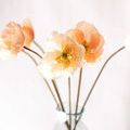 Product Image 6 for Estelle Poppies - 27", Bundle of 6 from Napa Home And Garden