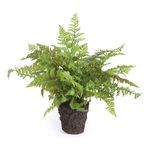 Product Image 1 for Soft Fern Drop-In from Napa Home And Garden