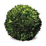 Product Image 1 for Boxwood Ball from Napa Home And Garden