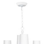 Product Image 3 for Boracay Chandelier from Coastal Living