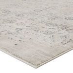Product Image 1 for Jasiel Trellis Gray/ Ivory Rug from Jaipur 