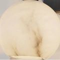 Close-up of the alabaster globe showing its natural veining and smooth texture