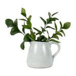 Product Image 3 for Marnie Pitcher from SN Warehouse