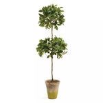Faux Ficus Topiary in Pot, 31" image 3