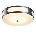 Opaque version of Swale Outdoor Flush Mount with grayish white diffuser and black frame