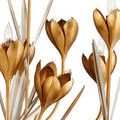 Detailed shot of gold leaf flower petals and silver leaf stems with light bulbs