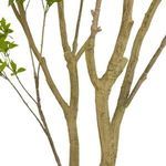 Product Image 6 for Faux Pieris Tree from Four Hands