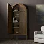 Product Image 30 for Tolle Panel Door Antique Brass Iron Cabinet from Four Hands