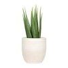 Product Image 2 for Large Matte White Embossed Stoneware Planter from Creative Co-Op