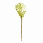 Product Image 1 for Hydrangea Stems , Set Of 6 from Napa Home And Garden
