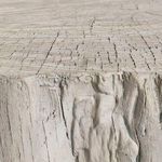 Detailed close-up focusing on carved trunk texture and layered wood grain pattern