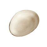 Product Image 5 for Mame Serving bowl from BIDKHome